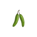 Serrano. Green serrano chill peppers.